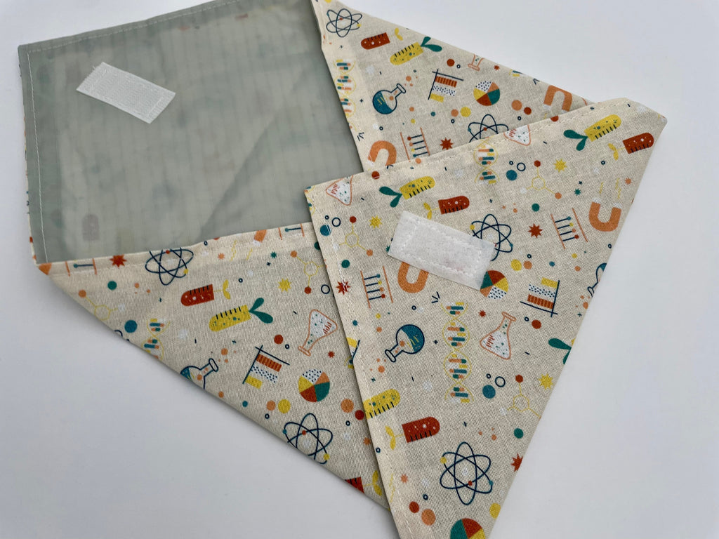 Reusable Sandwich Bag, Sandwich Wrap, Reusable Sandwich Mat, Sandwich Holder - Science Geek