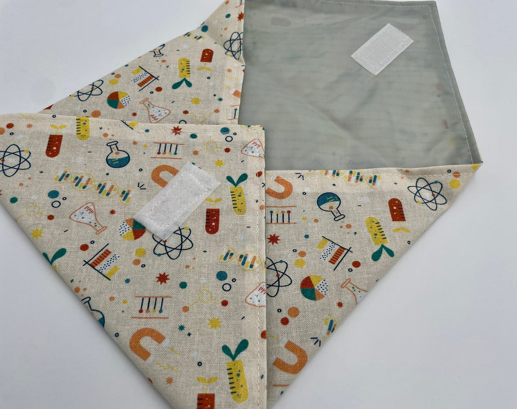 Reusable Sandwich Bag, Sandwich Wrap, Reusable Sandwich Mat, Sandwich Holder - Science Geek